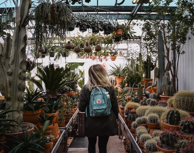 A girl walking in a Conservatory